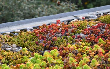 the cost of Yeabridge green roof installation