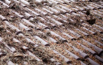 Yeabridge roof cleaning companies