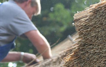 professional Yeabridge thatchers